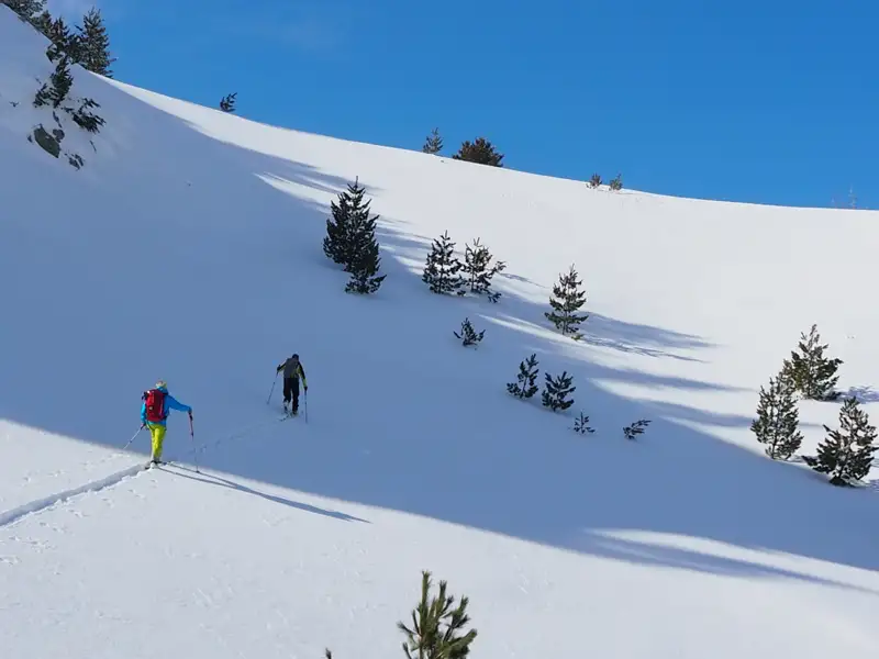 Zwei Skitourengeher steigen einen verschneiten Hang hinauf.