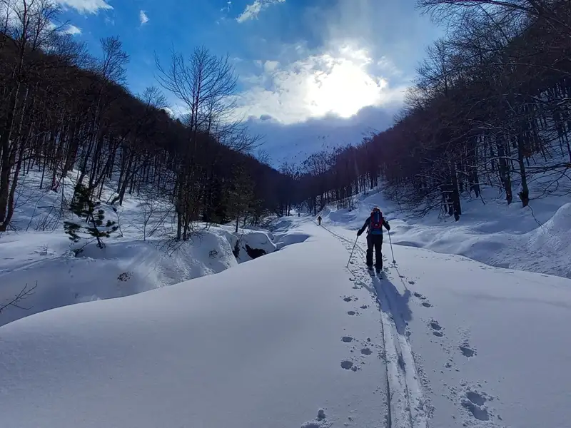 Skitourengeher im tiefen Schnee zwischen Bäumen.