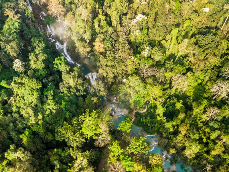Luftaufnahme eines Wasserfalls inmitten eines dichten Dschungels.