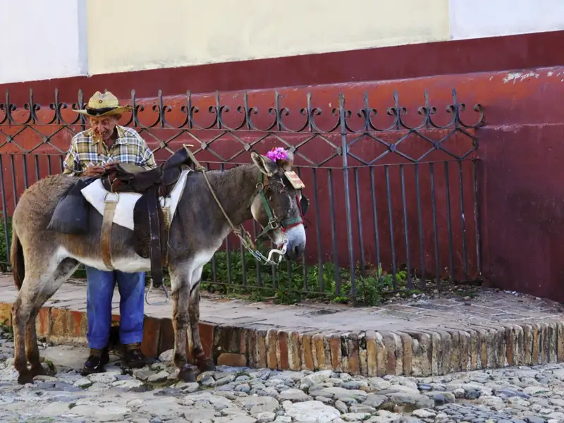 Ein Mann und sein Esel auf einem gepflasterten Weg, möglicherweise Teil einer lokalen Transportmethode.