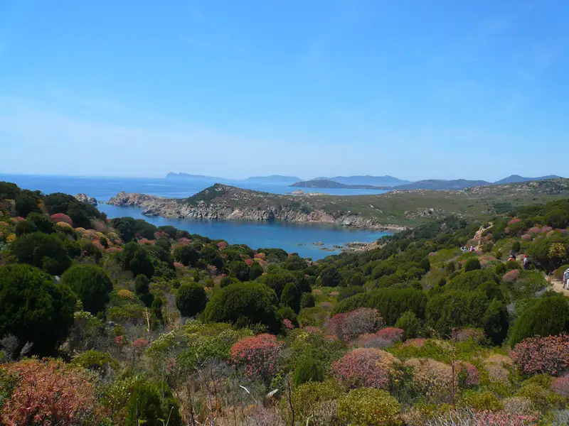 Blick auf die Küste mit vielfältiger Vegetation und das blaue Meer.