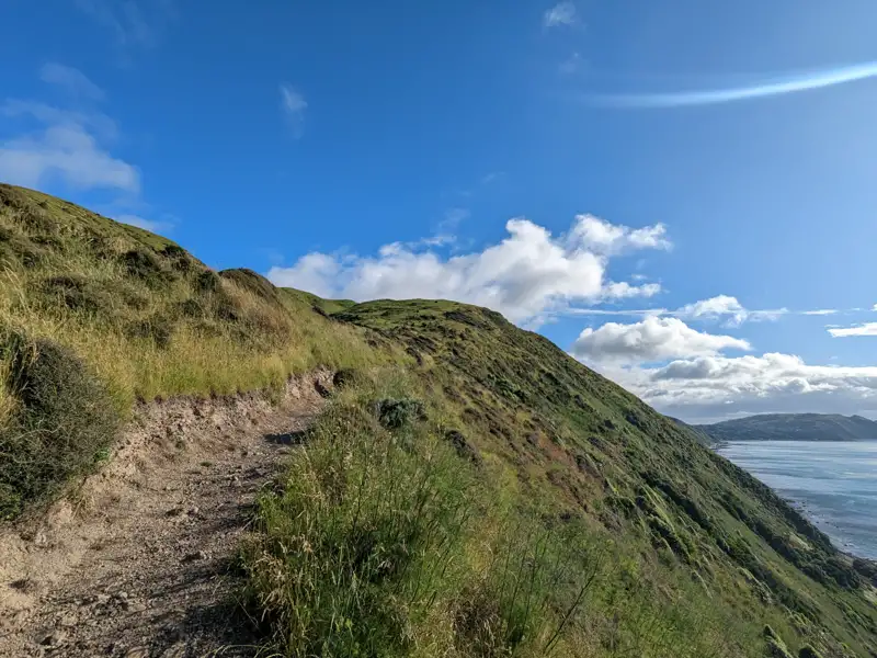 Wanderweg an der Küste mit Blick auf das Meer.