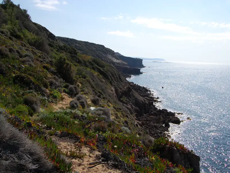 Felsige Küstenlinie mit spärlicher Vegetation und Blick auf das glitzernde Meer.