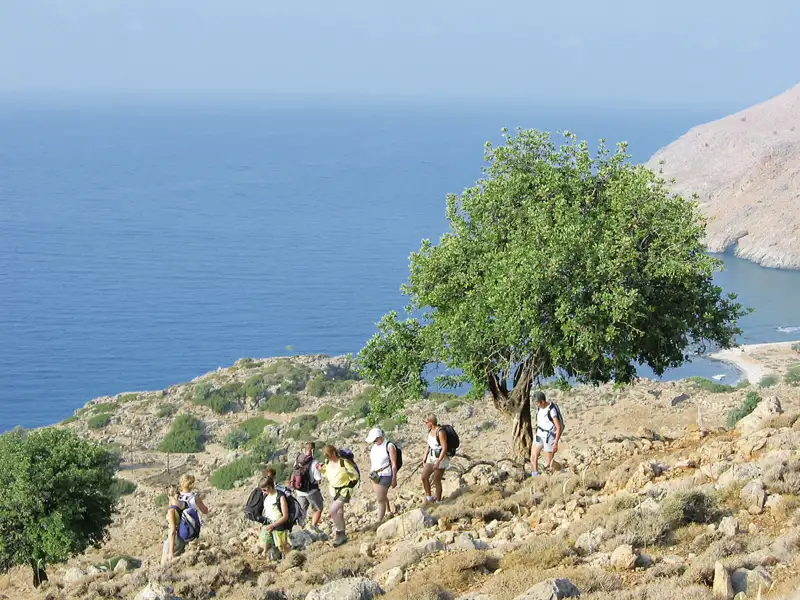 Wandergruppe auf einem Küstenpfad mit Blick auf das Meer.