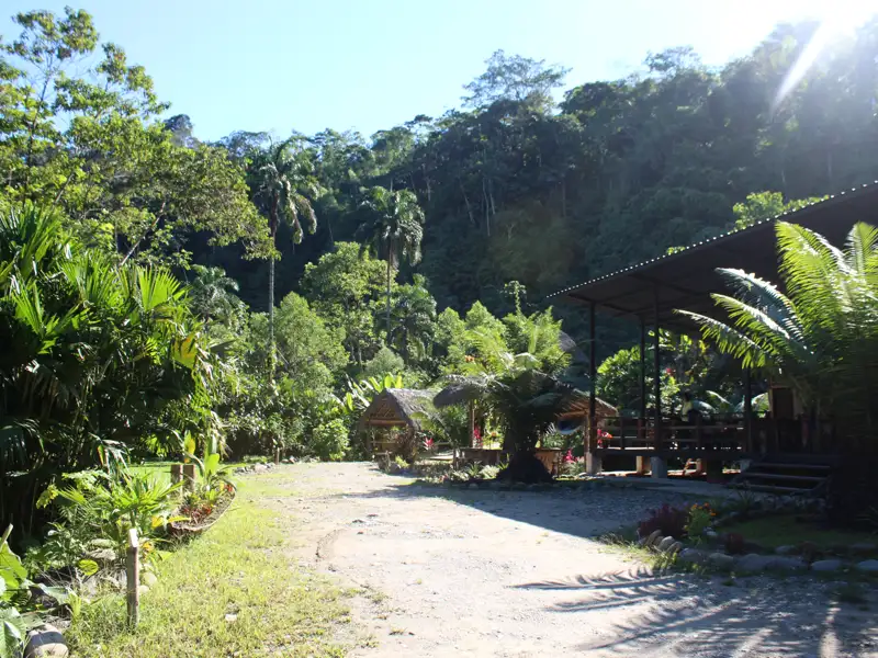 Unterkunft im Dschungel, umgeben von üppiger Vegetation und Regenwald.