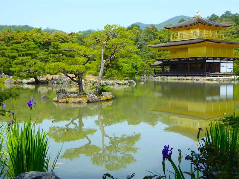 Der Goldene Pavillon (Kinkaku-ji) in Kyoto, Japan, umgeben von einem ruhigen Teich und blühenden Schwertlilien.