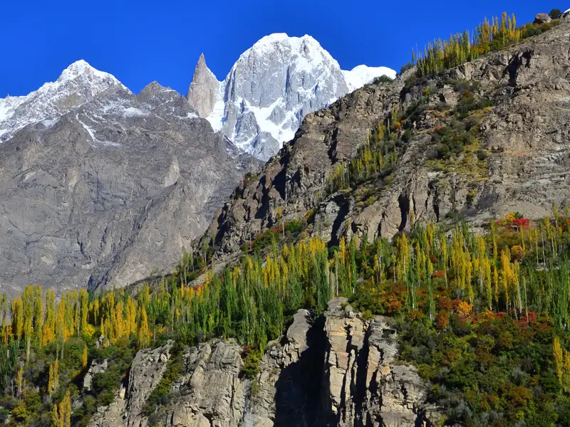 Herbstliche Berglandschaft mit schneebedeckten Gipfeln und bunten Bäumen.