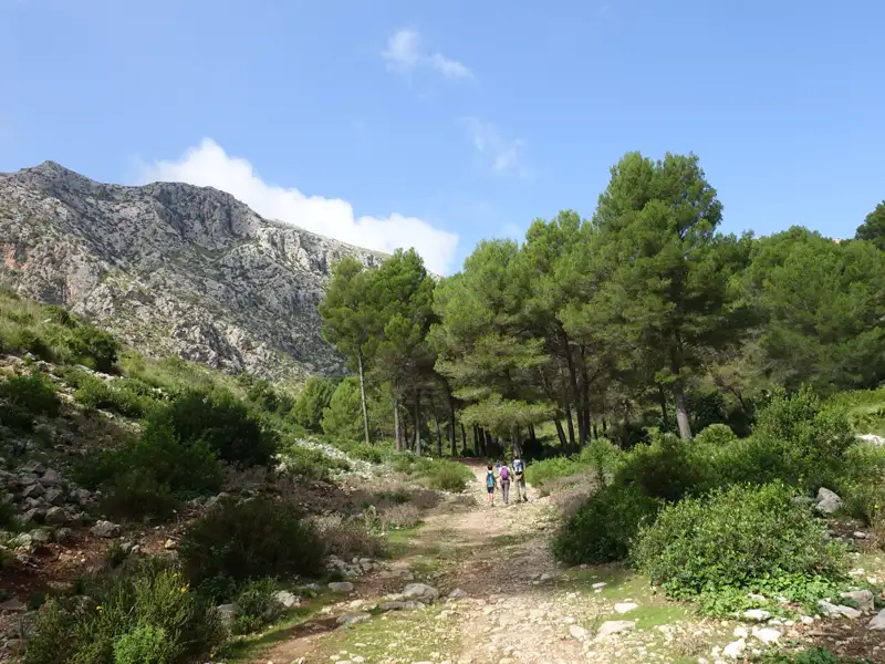 Wanderer auf einem Bergpfad.