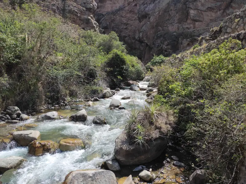 Ein Fluss mit Stromschnellen fließt durch eine Schlucht, umgeben von Felsen und Pflanzen.