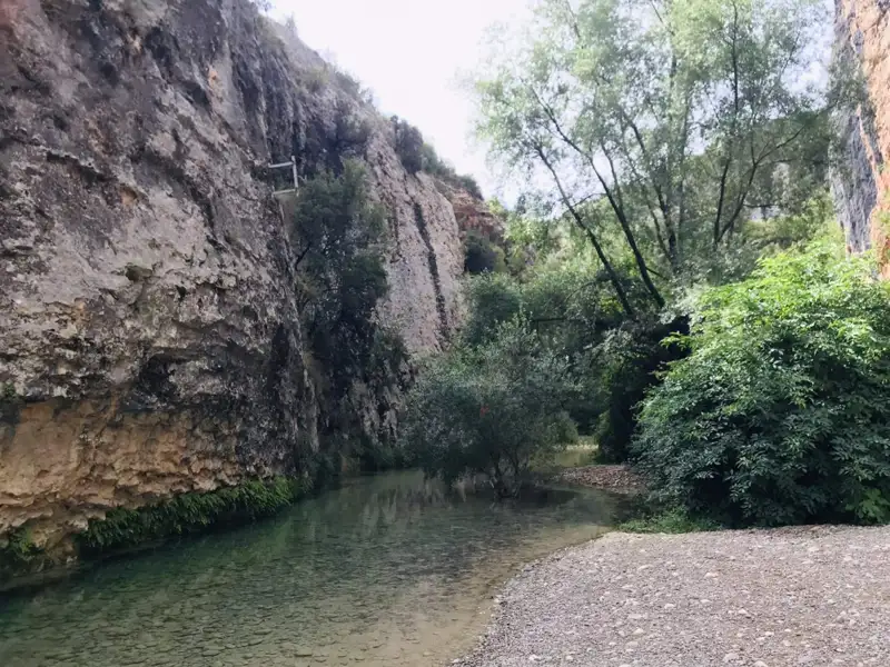 Flusslandschaft mit Felswänden und Vegetation.
