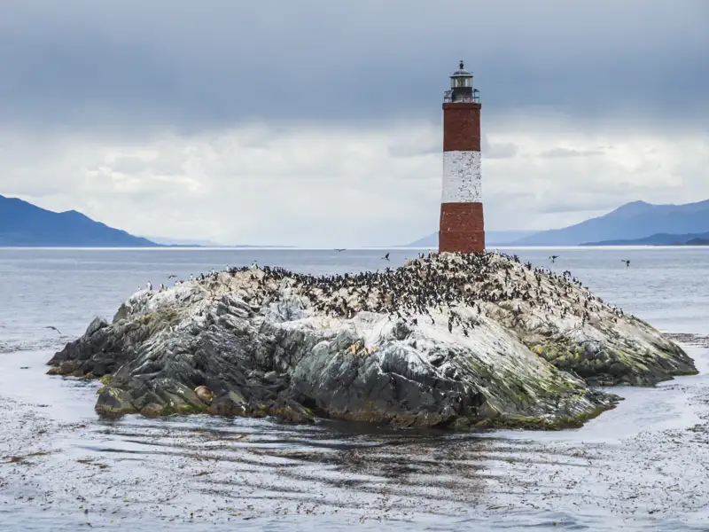 Leuchtturm auf einer felsigen Insel, umgeben von Seevögeln, vor der Küste.
