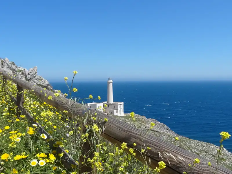 Leuchtturm an der Küste mit Wildblumen im Vordergrund.