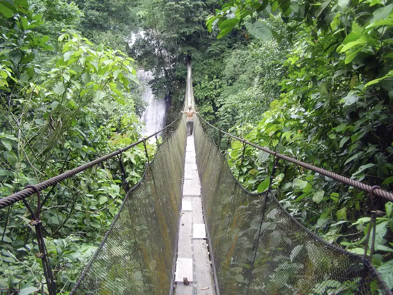 Überquerung einer Hängebrücke im dichten Regenwald mit einem Wasserfall im Hintergrund.