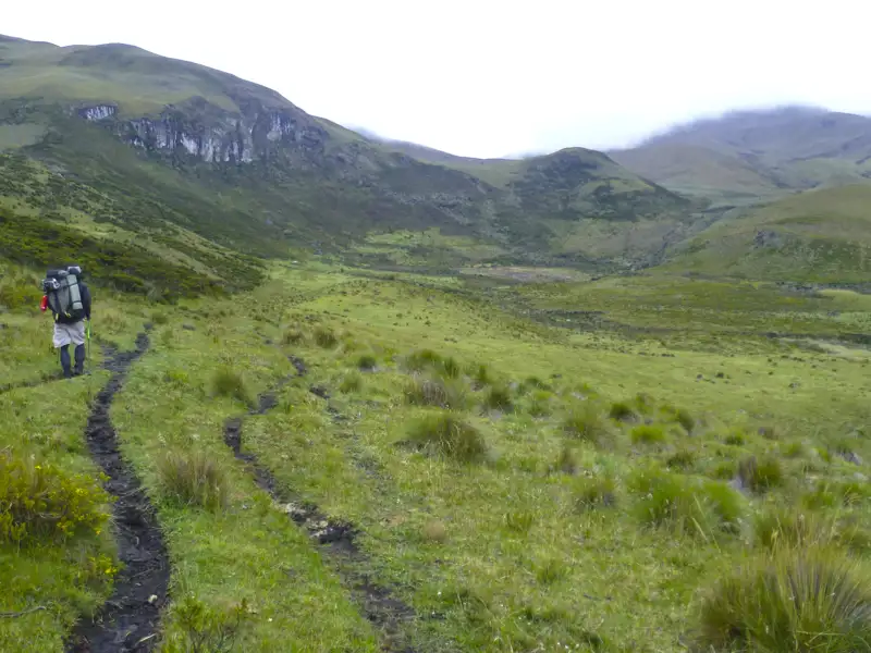 Wanderer auf einem Pfad in einer grünen Hügellandschaft.