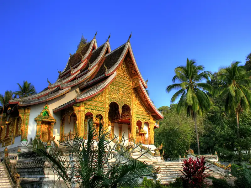 Traditionelle laotische Tempelarchitektur mit vergoldeten Verzierungen und umgeben von Palmen.