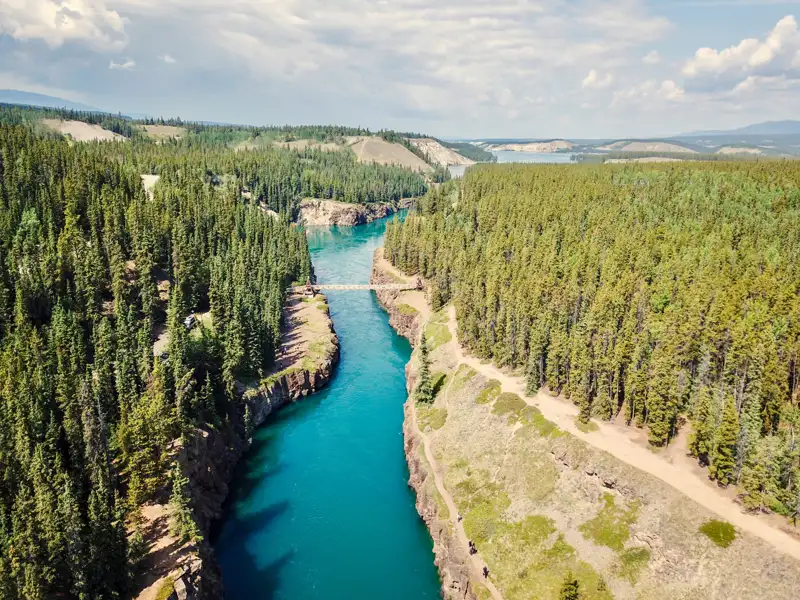Luftaufnahme eines türkisfarbenen Flusses mit einer Hängebrücke inmitten eines Nadelwaldes.