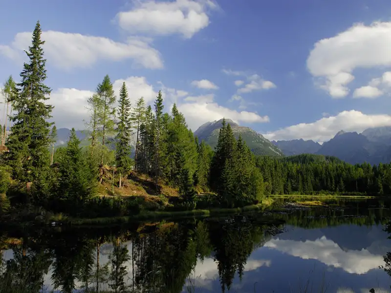 Idyllischer Bergsee mit Spiegelung der umliegenden Bergkette und Tannenwald im Vordergrund.