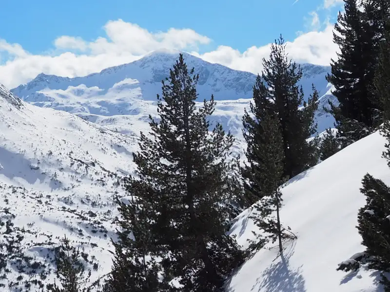 Verschneite Berge und Tannen.