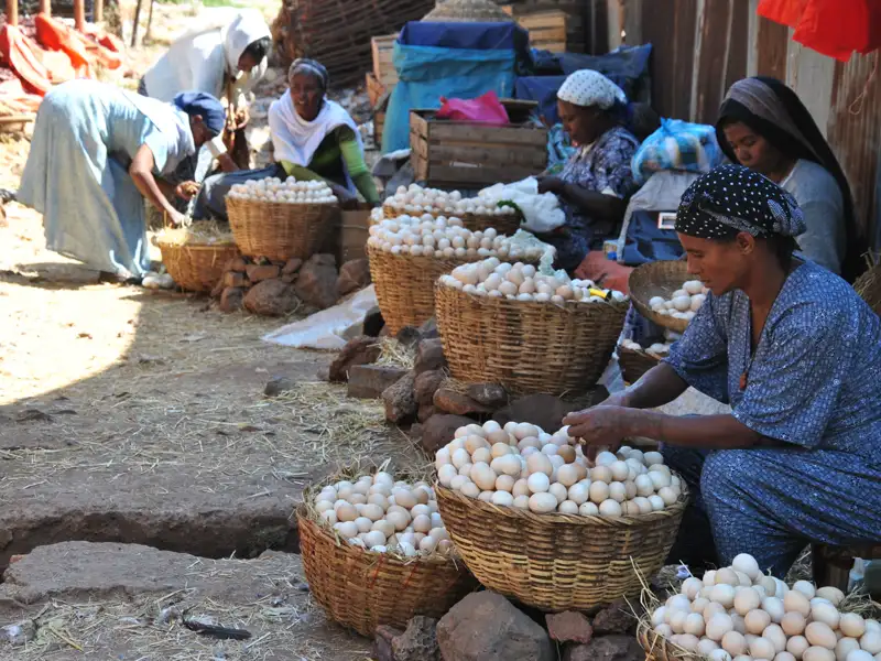 Frauen sortieren Eier in Körben.