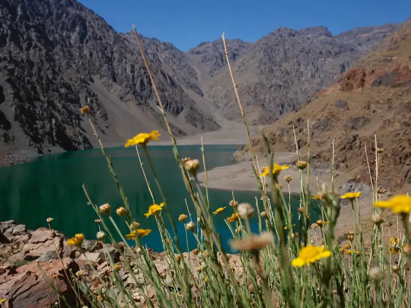 Gelbe Wildblumen im Vordergrund eines türkisfarbenen Bergsees, umgeben von schroffen Bergen.