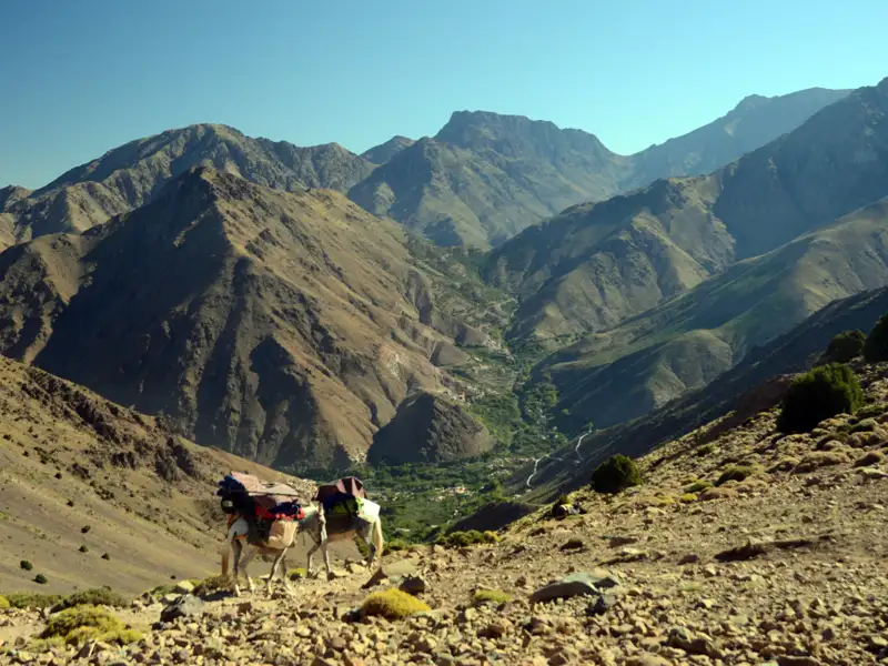 Packesel transportieren Gepäck auf einem Bergpfad. Im Hintergrund ist ein Tal und eine Bergkette zu sehen.