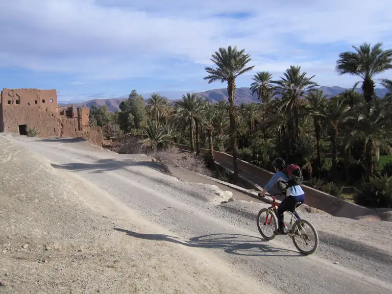 Radfahrer auf einer Reise durch eine Oase mit Dattelpalmen und historischen Ruinen.