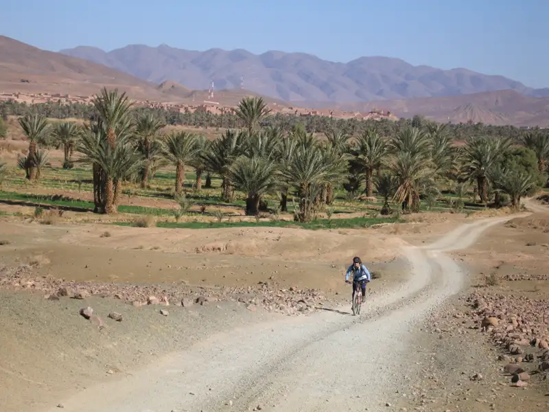 Radfahrer auf einer Schotterstraße inmitten einer Palmenoase.