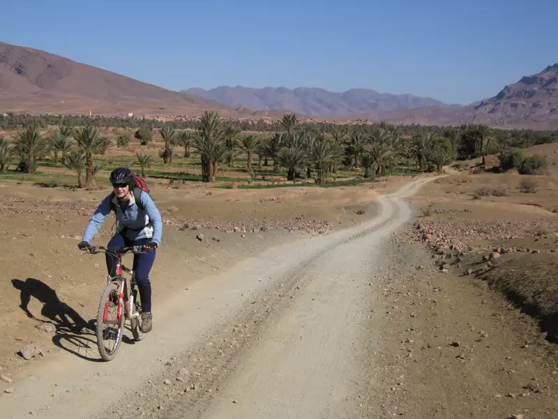 Mountainbiker auf einer Schotterpiste in einer Wüstenoase mit Palmen und Bergen im Hintergrund.