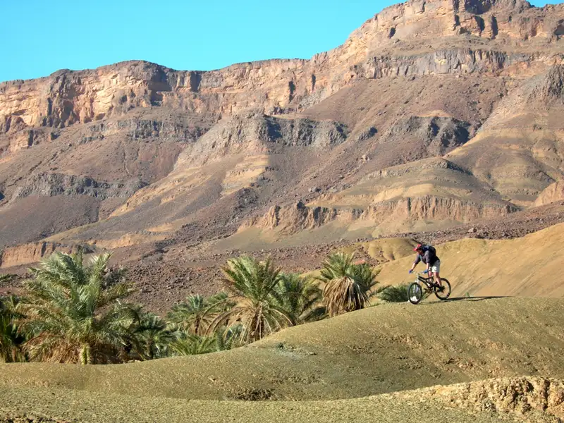 Mountainbiker in einer Wüstenlandschaft mit Palmen und Bergen.