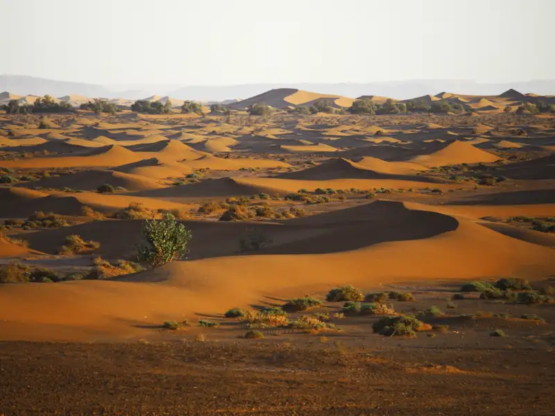 Panoramablick auf eine Wüstenlandschaft mit Sanddünen.