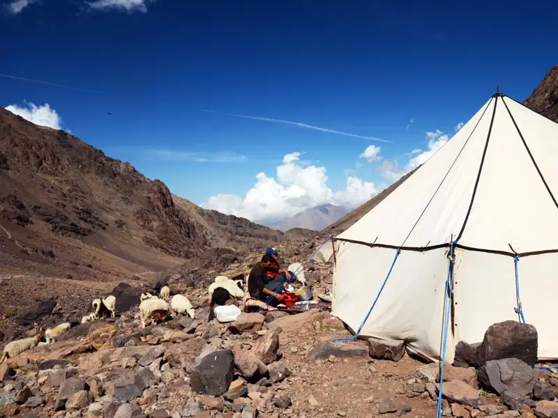 Zeltplatz in den Bergen, Person beim Kochen, Herde Ziegen.
