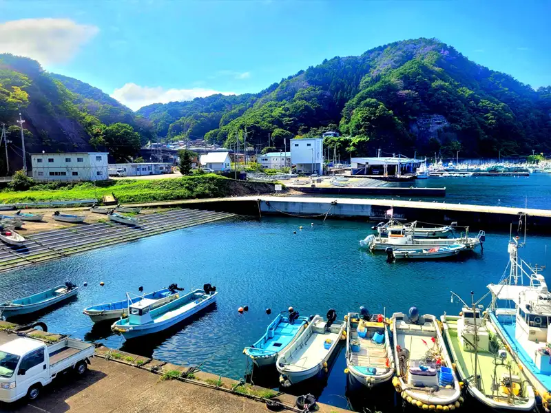 Fischerboote liegen im Hafen. Grüne Hügel bilden die Kulisse.