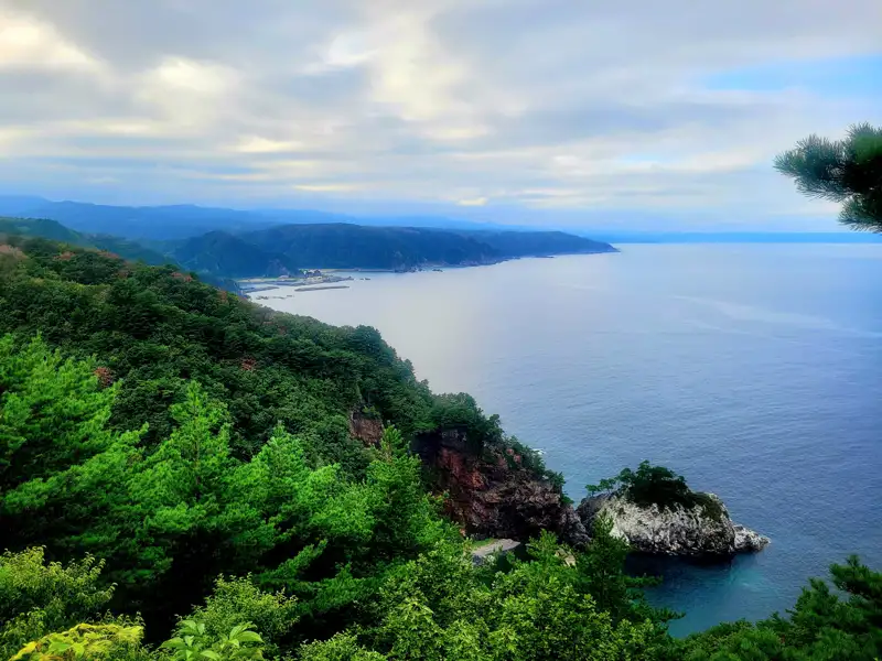 Panoramablick auf die bewaldete Küste mit felsigen Buchten und einem kleinen Hafen im Hintergrund.