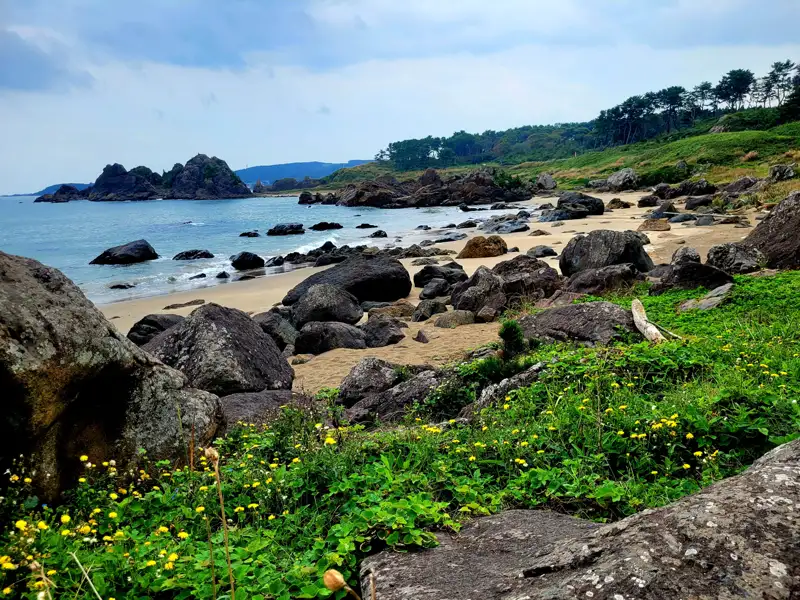 Felsige Küstenlandschaft mit Sandstrand und blühender Vegetation.