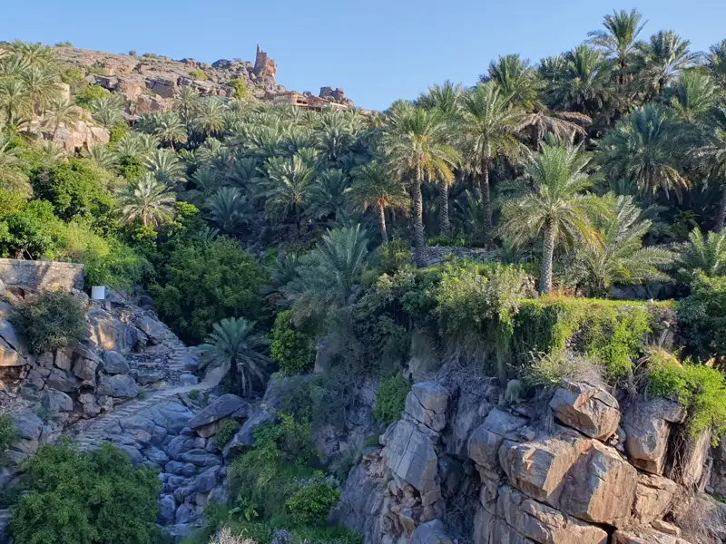 Palmenoase mit felsigem Vordergrund und Gebäude auf einem Hügel im Hintergrund.