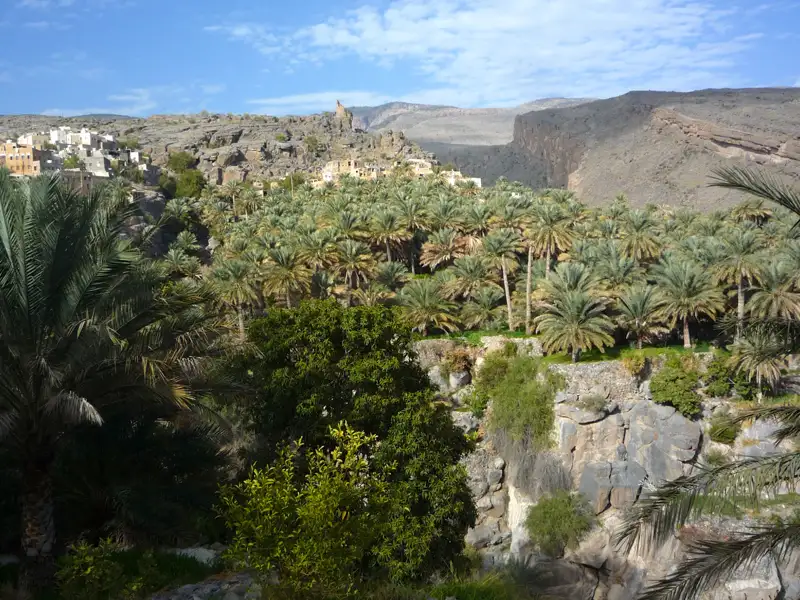 Dattelpalmen in einer Oase, mit einem Bergdorf im Hintergrund und felsiger Landschaft.