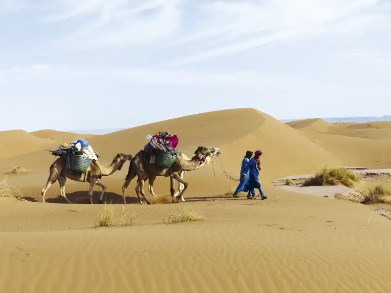 Zwei Kamele transportieren Gepäck durch eine Sandwüste, begleitet von zwei Personen. Dies verdeutlicht die Art der Reise und die Landschaft.