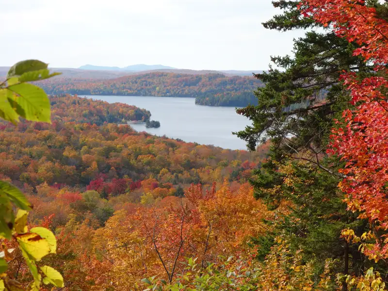 Herbstliche Szene mit Blick auf einen See und bunte Bäume.