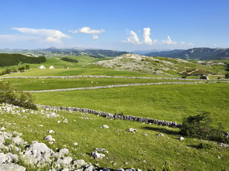 Grüne Hügellandschaft mit Steinmauern und Blick auf die Berge.