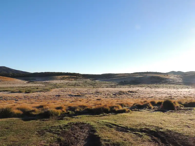 Morgendliche Landschaft mit trockenem Gras, Hügeln und feuchtem Gras im Vordergrund.