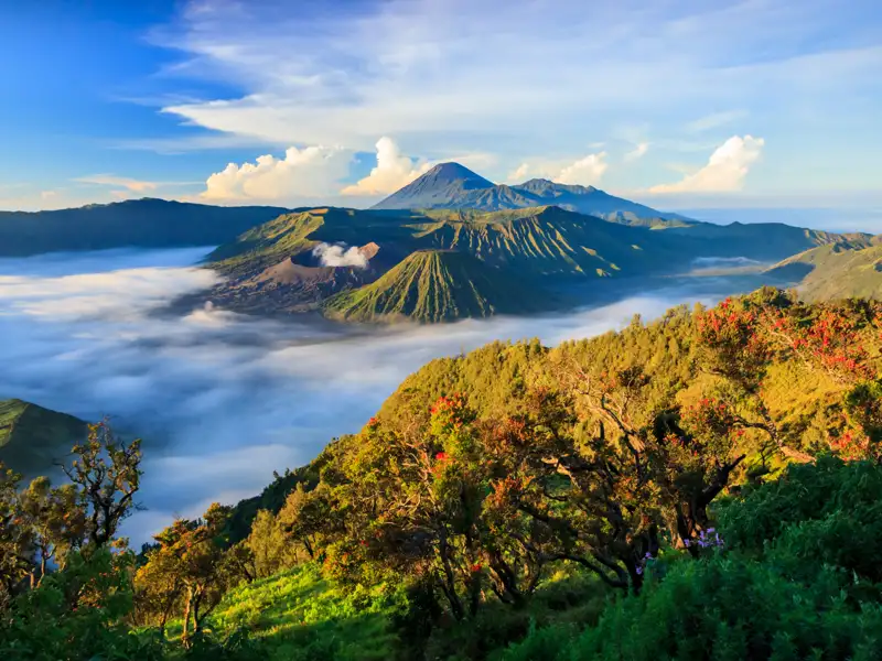 Ausblick auf den Vulkan Bromo und die umliegende Landschaft.
