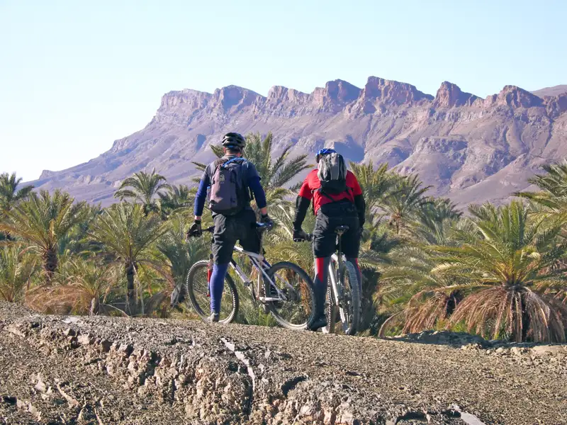 Zwei Mountainbiker mit Rucksäcken halten an und betrachten die Bergkette hinter einer Dattelpalmenoase.