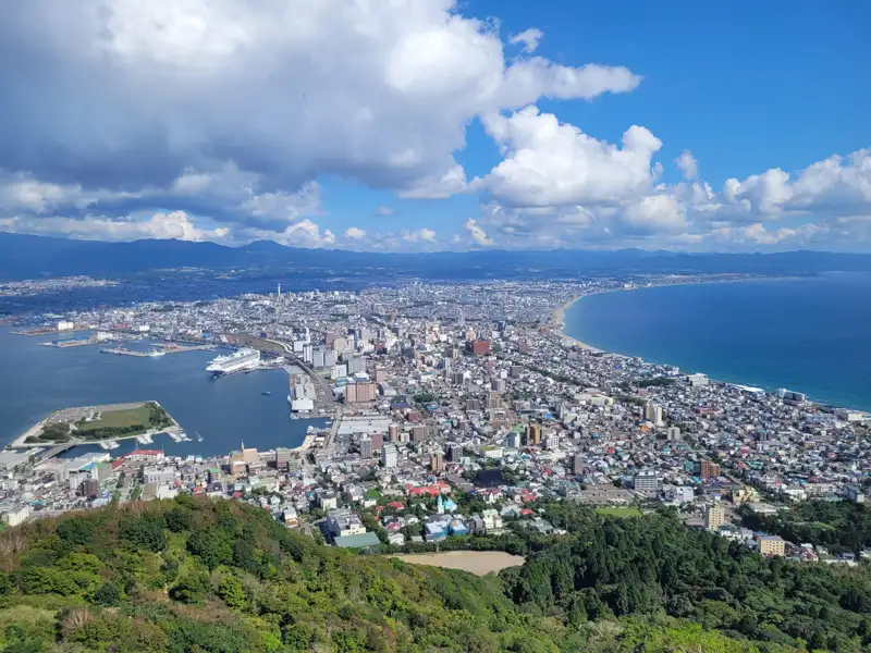 Luftbild einer Küstenstadt mit Hafen und Bergkulisse.