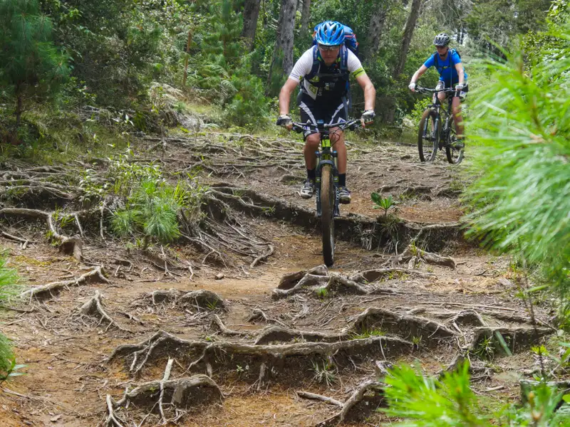 Mountainbiken auf einem anspruchsvollen Wurzeltrail.