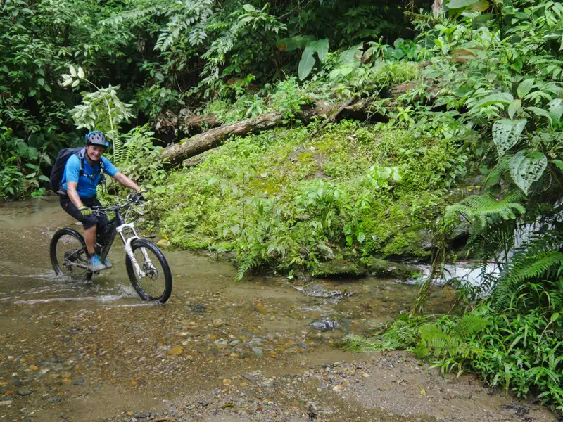 Mountainbiken im Regenwald: Durchquerung eines Baches.