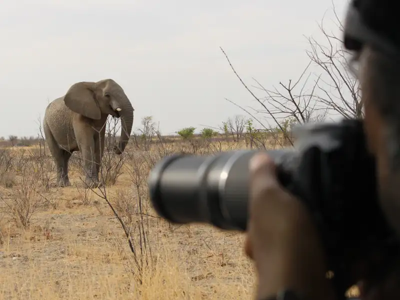 Fotograf beim Fotografieren eines Elefanten in der afrikanischen Savanne.