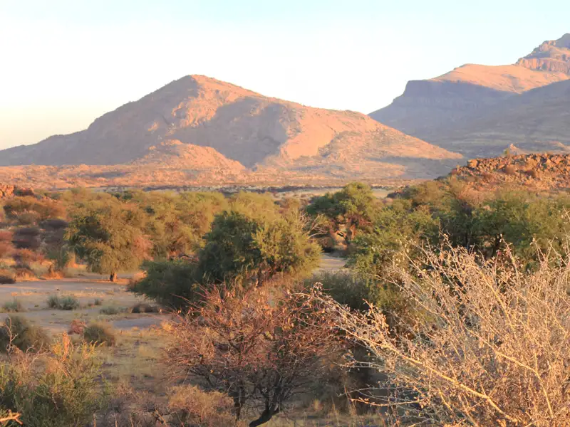 Berge und Vegetation in der Landschaft.