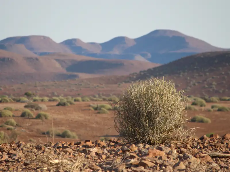 Trockene, felsige Wüstenlandschaft mit spärlicher Vegetation und Hügeln im Hintergrund.