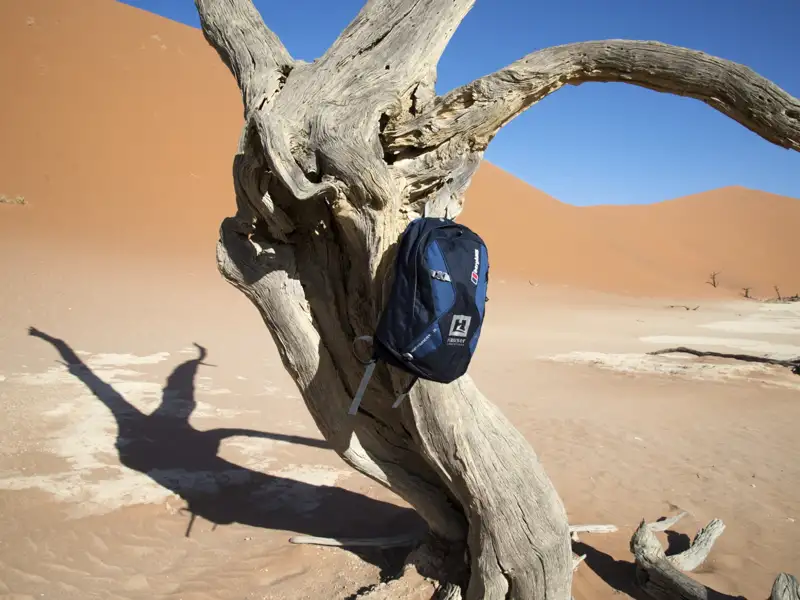 Reiseausrüstung: Ein Rucksack hängt an einem vertrockneten Baum in der Wüstenlandschaft.