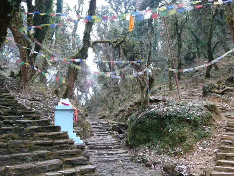 Gebetsfahnen schmücken einen Weg durch einen Wald.  Eine kleine Gebetsstätte befindet sich am Wegrand.